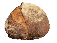 A spinning loaf of sourdough